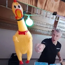 Huschdie